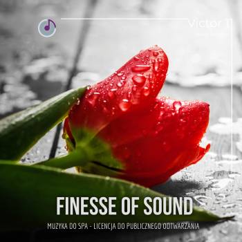 Finese of Sound 1 – Bartosz Domagała mp3